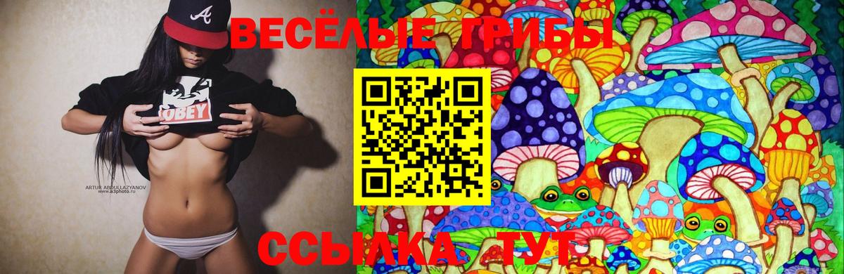 Октябрьский  Галлюциногенные грибы Psilocybe  Вход с VPN 